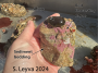 The black blob on the top of this holdfast is actually a dark green algae.  Also visible is red encrusting algae.  Note the bedding on the left side of the rock.