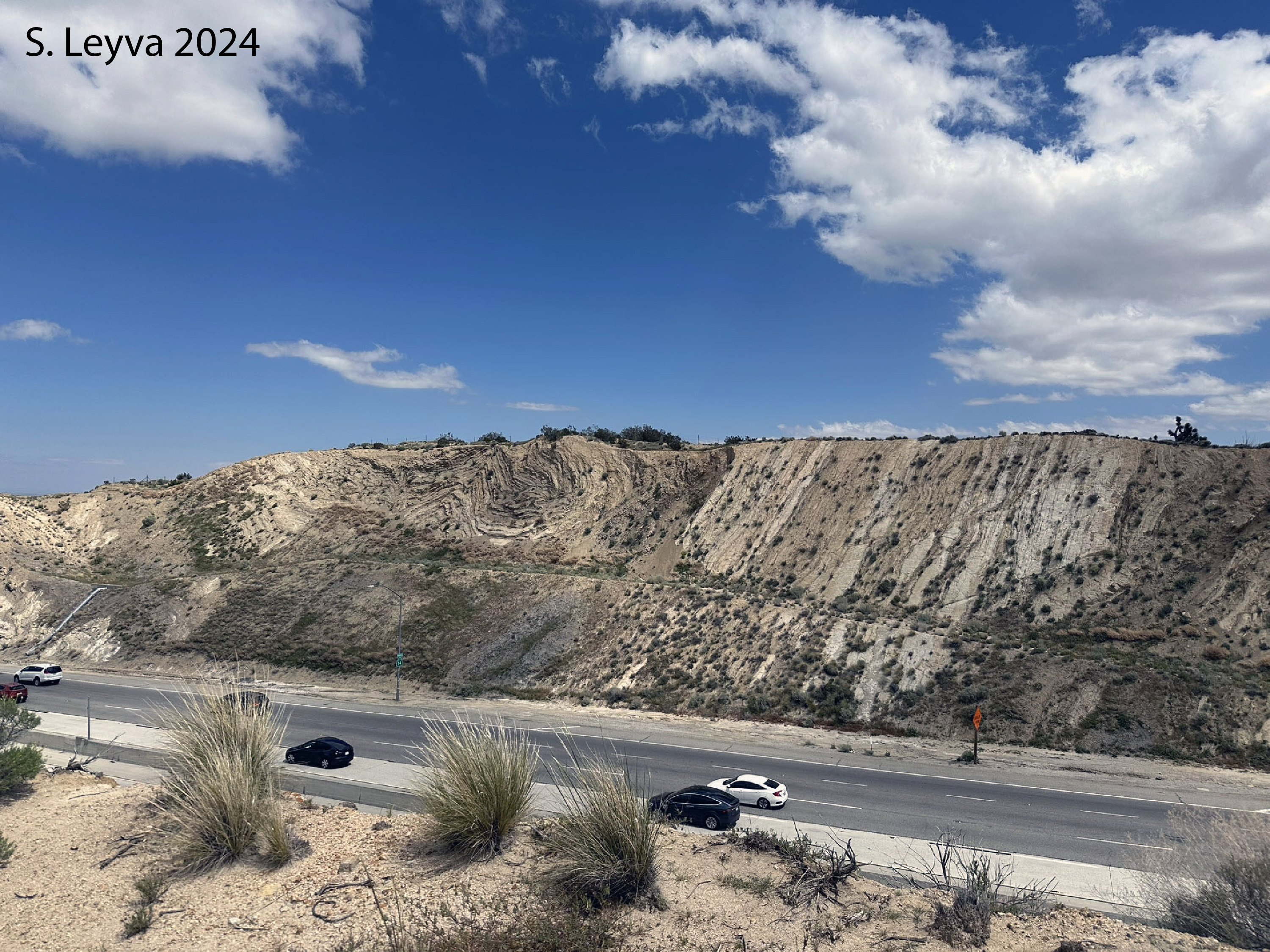 Image of a roadcut with a series of folds on the left and highly tilted bedding on the right.