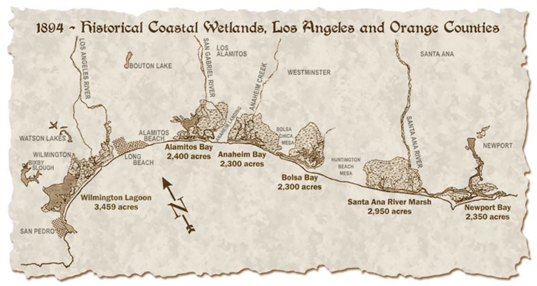 HistoricWetlandMap1894.fw.png