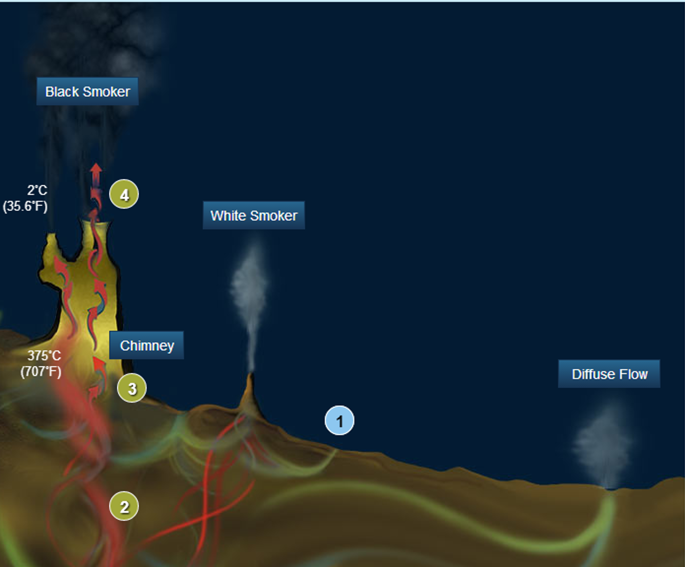 Graphic showing three hydrothermal vents:  a black smoker, a white smoker, and a diffuse flow smoker.