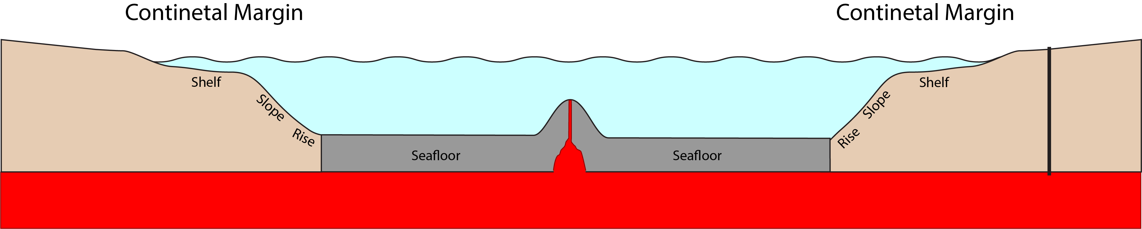 Passive margin:  Profile extending from the continental margin (left), dropping off to the deep sea floor, where there is a spreading center in the middle.  The abyssal plain continues to the left before rising back up to the continental margin on the other side of the ocean basin.