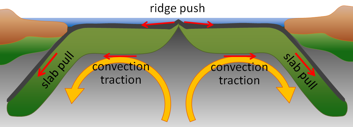 Graphic showing the plates being pushed apart and a plate being pulled down into the mantle, aided by convection cells.
